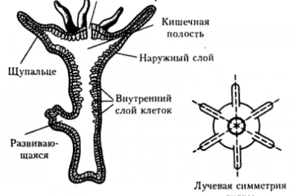 Кракен тор зеркало